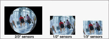 [photo] Simulation images taken with FE185C057HA-1 - 2/3 inch sensors, 1/2 inch sensors, 1/3 inch sensors