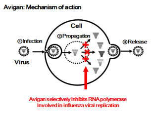 Illustration of Avigan Mechanism of Action