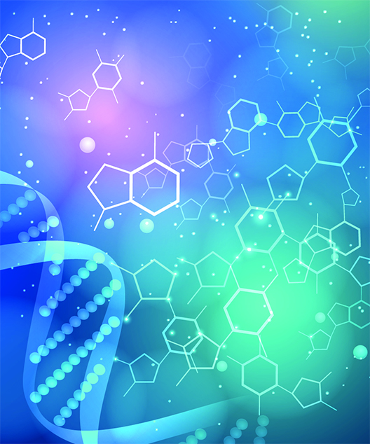 Life-Science-Optical