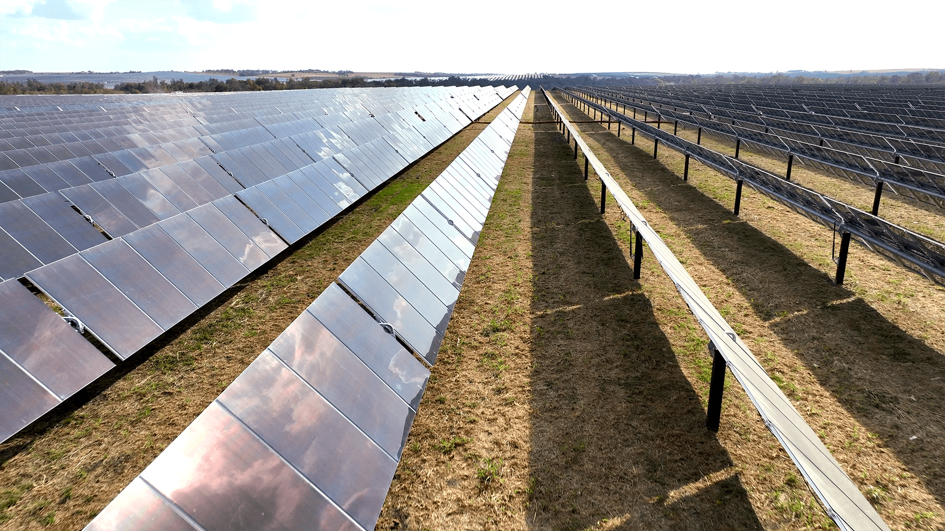 rows of solar panels in a field