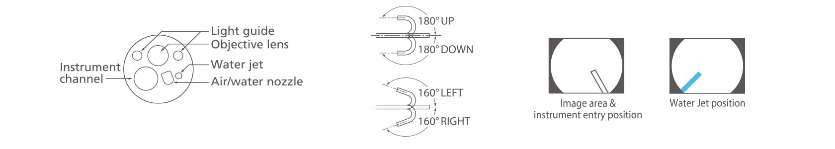 [image] Tip of endoscope with parts/functions and 180 degrees up/down, 160 degrees left/right flexible angles it moves in