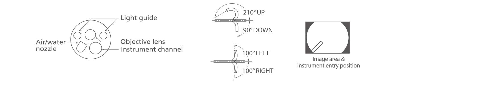 [image] Tip of endoscope with parts/functions and 210 degreesup/90 degrees down, 100 degrees left/right flexible angles it moves in