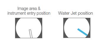 Image area & forceps entry position