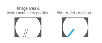 Image area & forceps entry position