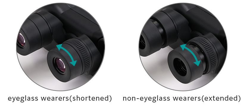 [photo] usuarios de anteojos (acortados) /no usuarios de anteojos (extendidos) 