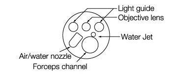 [image] Tip of scope with parts - light guide, forceps channel, objective lens, air/water nozzle, and water jet
