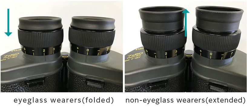 [photo] usuarios de anteojos (plegados) /no usuarios de anteojos (extendidos) 