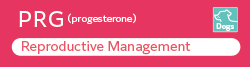 [Image] ​PRG（Progesterone）is useful for reproductive management for dog.​
