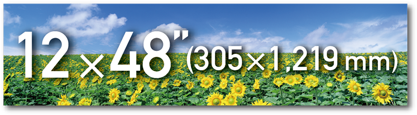 [image] Field of sunflowers and blue sky photo with text overlay for 2 × 48” (305 × 1,219 mm) paper size