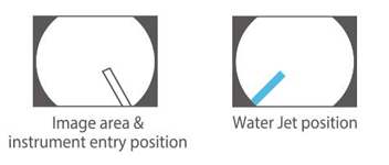 Image area & forceps entry position