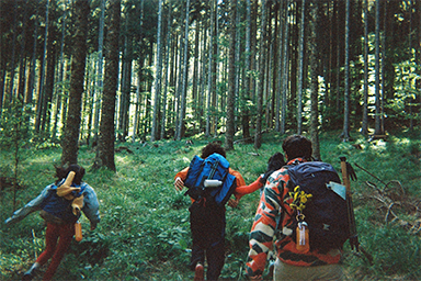 Rear view of a backpacker walking through a forest