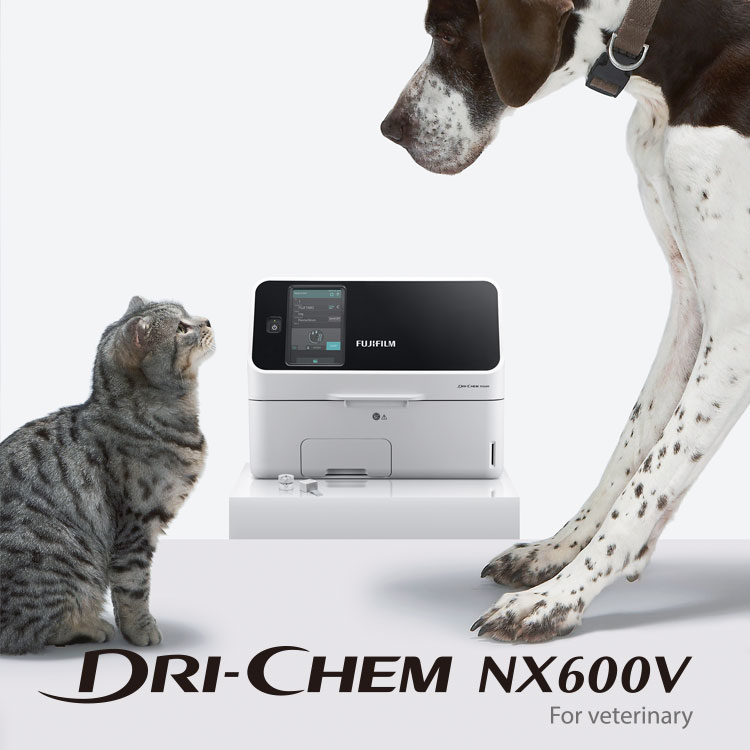 DRI-CHEM NX600V | Fujifilm [South Africa]